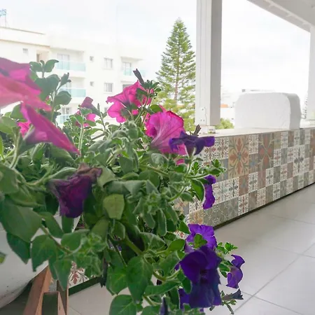 Apartment Sonias Angel House